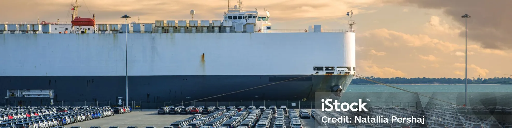 Scaling Plan for Imports